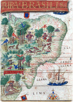 Terra Brasilis